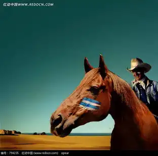 在马背上微笑的外国男人psd素材免费下载编号794235红动网