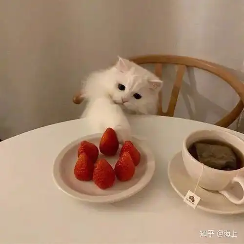 长的丑用可爱头像的女生会遭到嫌弃吗
