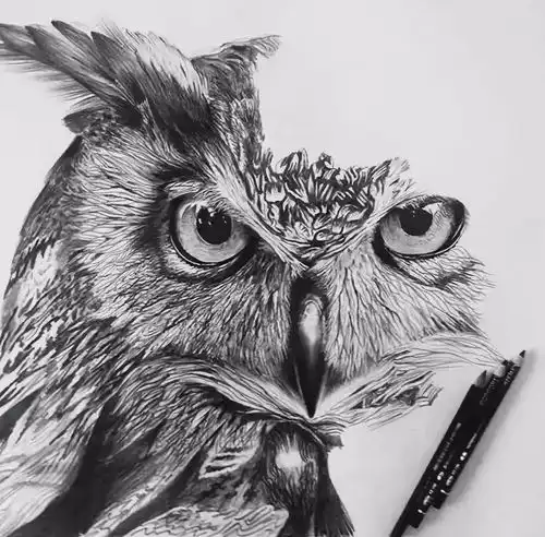 会画素描的人很多,但画得这么出神入化的却很少
