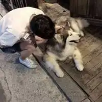 2018男生背影胖头像微信头像图片大全
