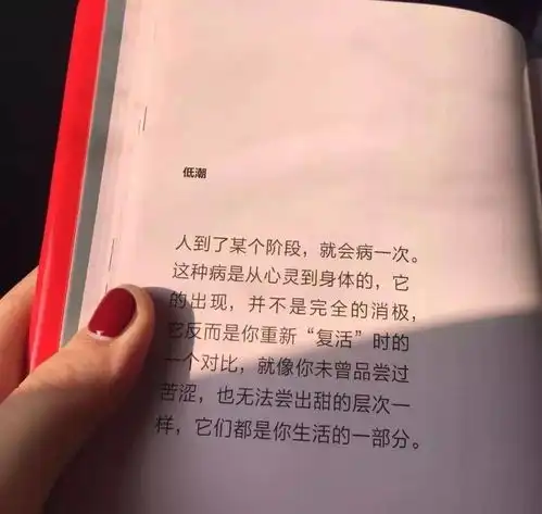 背景图今日份精选背景图三观很正的干净文案
