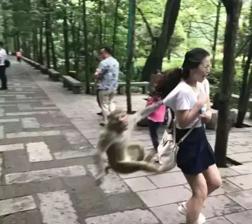 这一定不是我,来自男朋友的相册

