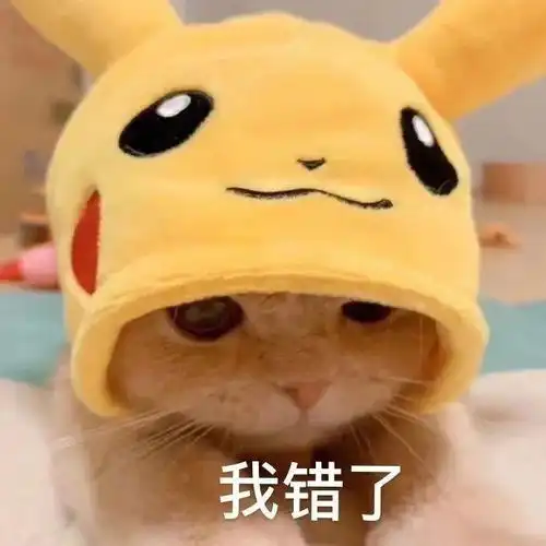 我错了