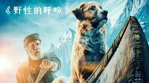 这条狗狗不一般,历经一番磨难,结果成为了狼王野性的呼唤