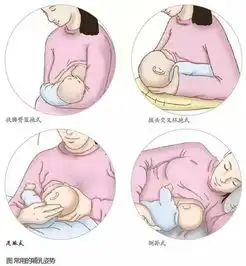 01岁婴儿吃奶量汇总喂养不对当心影响发育
