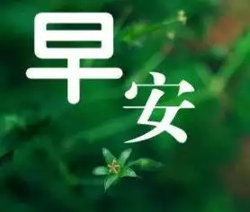 2021适合早上朋友圈的励志语录早安句子最新版
