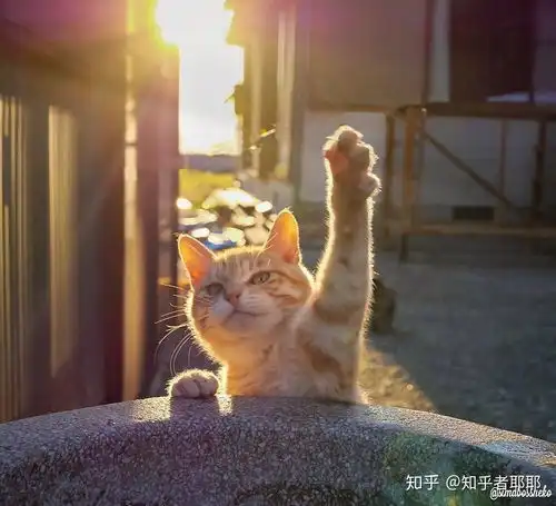 为什么男生第一感觉女生打游戏很菜

