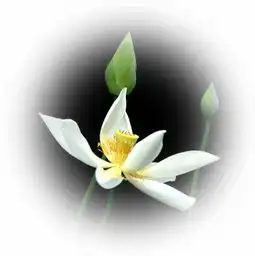 送给朋友圈的每一位朋友