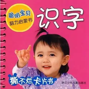 聪明宝贝脑力启蒙书识字
