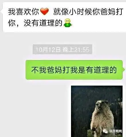 男生超沙雕表白方式,哈哈哈难怪被拒绝,能成功算我输