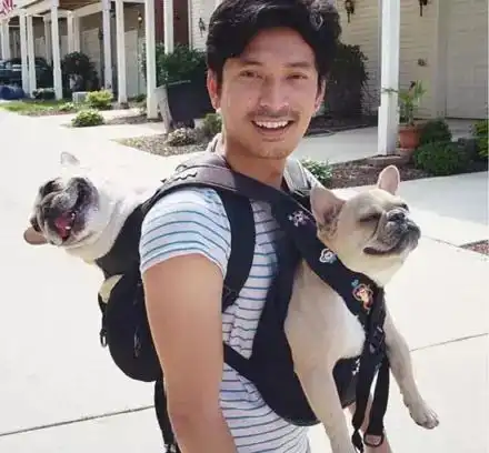 爱狗的男生都是最帅的,你同意吗