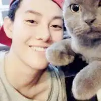 男生微信头像带猫咪微信头像图片大全
