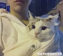 拥有双重性格的星座
