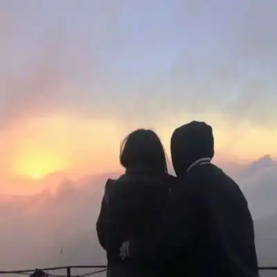 无标题

