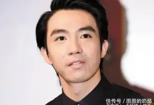 以成熟稳重自强的姿态成为励志代言人,成为新一代时尚偶像
