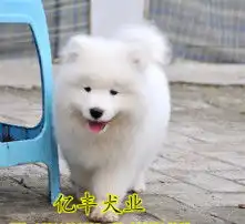 黄页88高清图片

