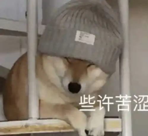 第一批导航依赖症的年轻人,已经被坑到沟里去了