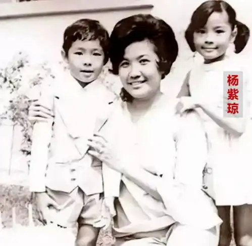 杨紫琼出师就是王炸