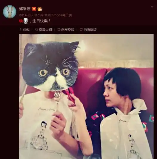 郭采洁整容了但我更在乎的是她和杨祐宁的感情啊