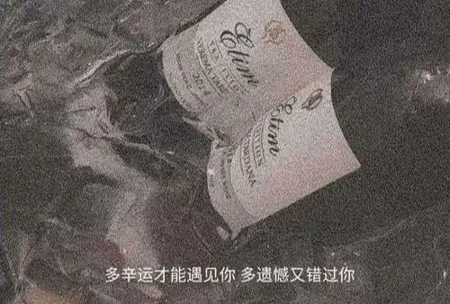文案丨丧到极致的句子
