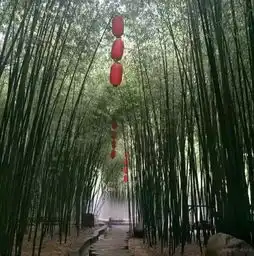 山东5a沂蒙山银座天蒙4a中国最美乡村竹泉村红石寨二日游