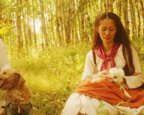 另类李子柒失恋后隐居山村,改旧宅,日子美如世界名画
