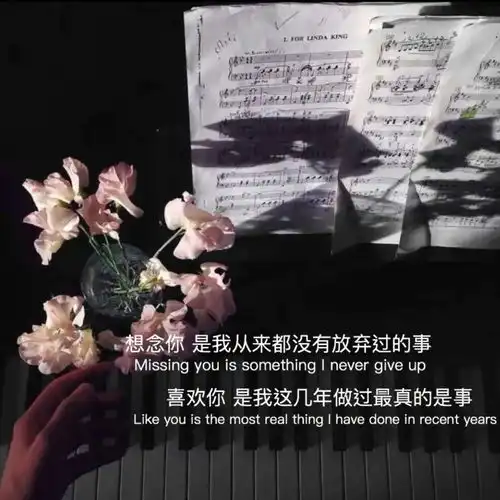 适合写在小本本上的励志句子
