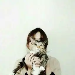 情侣头像男女个抱一只猫,欧美的