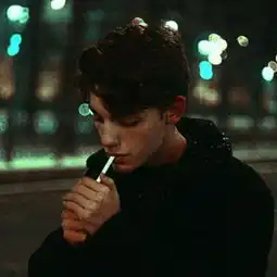 何以爱情