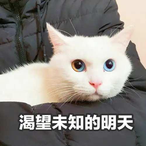 最好软二附近
