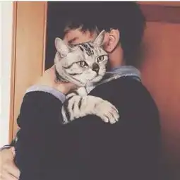男生抱猫头像高清图片2018我是一只爱晒太阳的小懒猫
