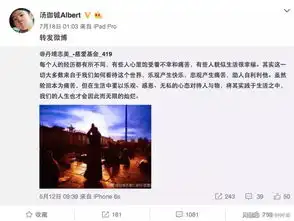 身价100亿却要寻找灰姑娘,这个霸道总裁才是真正的佛系少