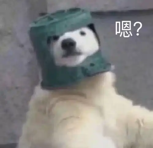别人看了会气疯的qq自动回复