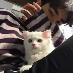 为什么男孩子喜欢养猫,如果你知道这些原因,你也会想养的
