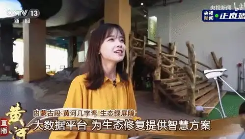 为什么关注记者张扬的人不如关注王冰冰的人多呢