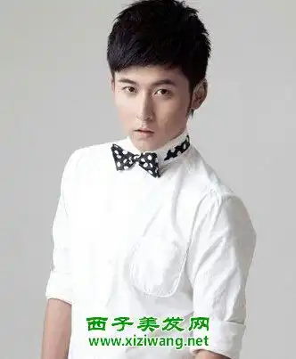 男生倒三角脸型适合什么发型