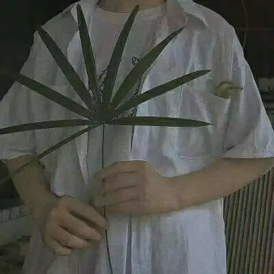 明明可以做一辈子的朋友为什么非男生头像我要个性网
