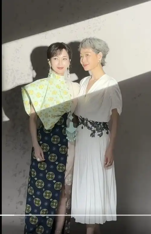 70岁赵雅芝61岁叶童合影一个有了褶子,一位美如30岁