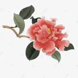 中国风手绘牡丹花素材图片免费下载千库网