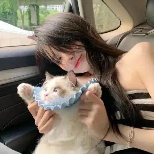 头像点赞很高的宝藏头像