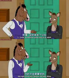 bojackhorseman生活讽刺堆糖,美好生活研究所
