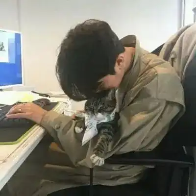 头像我超喜欢小动物比如炸鸡烤鸭水煮鱼