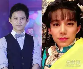 何炅变大众脸撞脸李易峰赵薇雪姨
