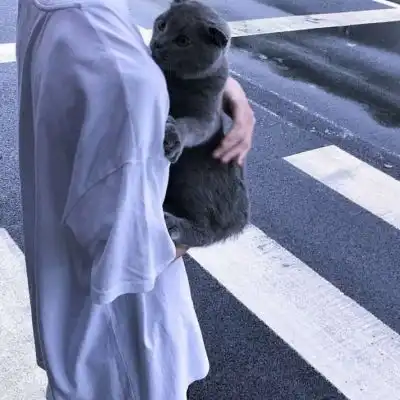 男生头像我要露出点小马脚来好让你看出来我喜欢你.