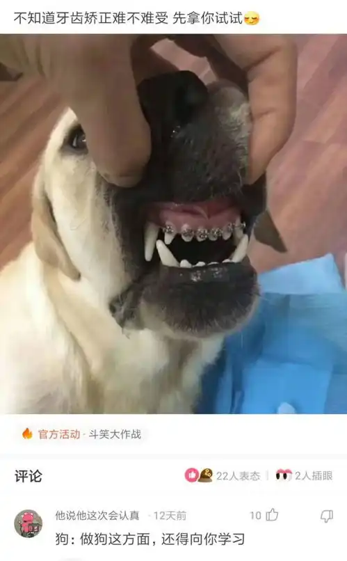 神回复你的姓氏加上你的生肖一定很好听腾讯新闻