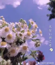 宝藏背景图要把你的温柔,交付给能察觉你小情绪的男孩子
