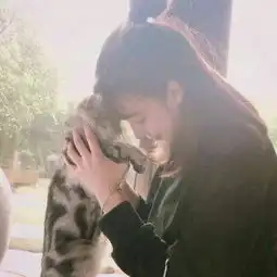 小仙女与小动物的亲密合照头像美女抱可爱猫咪微信头像高清
