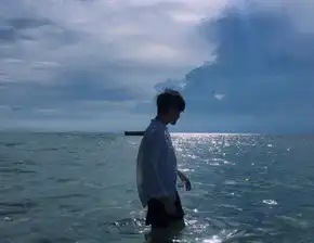 好听又个性的男生网名羁客
