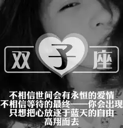 属猪人双子座男生性格