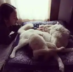 从性感女神到最美农妇,她下嫁丑男却过上了人人艳羡的隐居生活